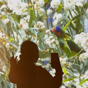 Meet your Posher, Kollene